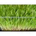 Barley Grass Extract